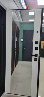 Дверь входная Лайн