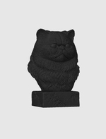 Персидская Кошка