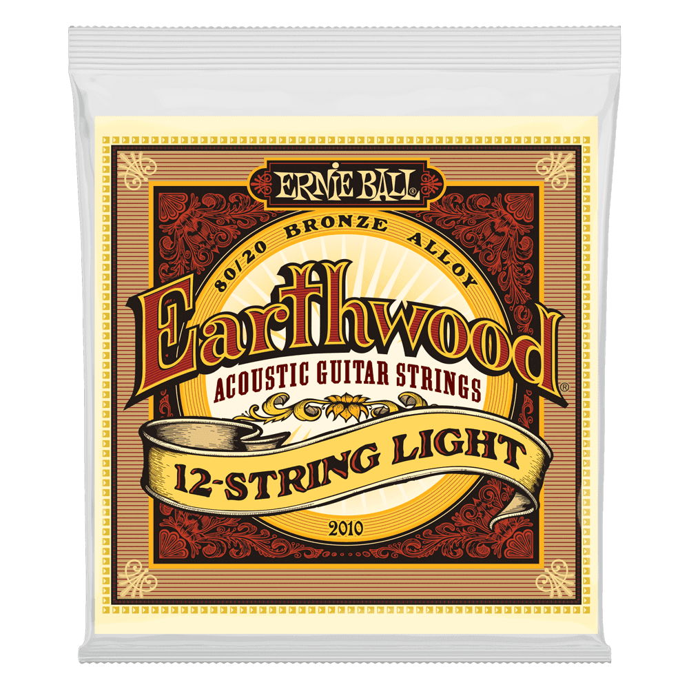 ERNIE BALL 2010