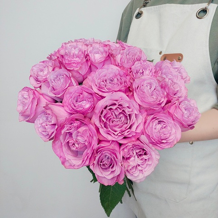 25 пионовидных импортных роз Квин Краун