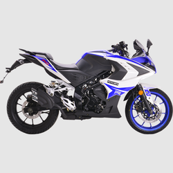 Мотоцикл Racer RC250XZR-A Storm (синий) (Россия)