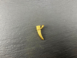 Подвеска. Рог