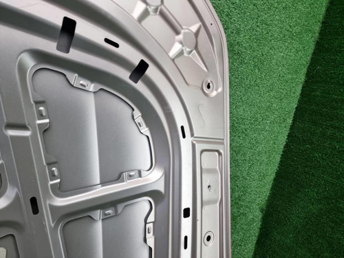 Капот Hongqi H9 (2020-н.в.)