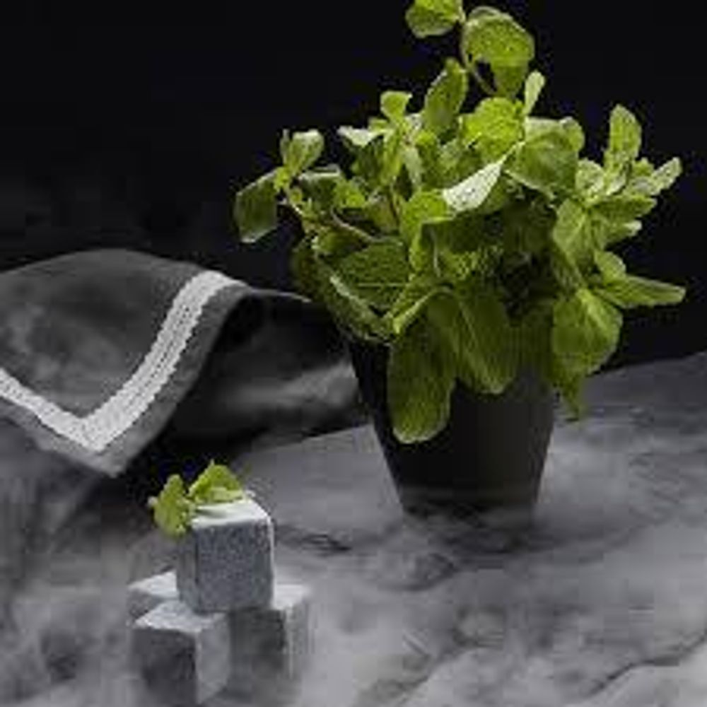 DarkSide Core Supermint (Мята Ментол) 30г