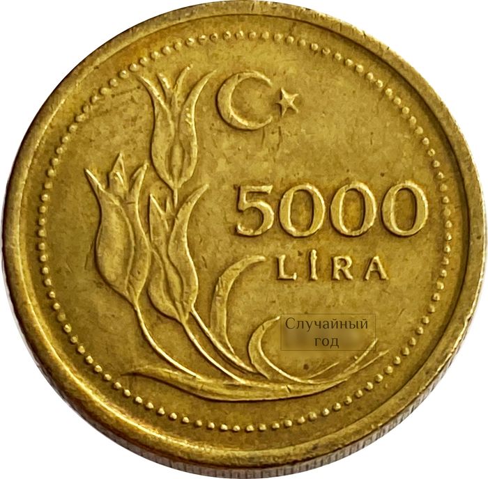 5 000 лир 1995-1998 Турция