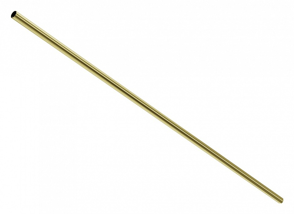 Штанги Maytoni Accessories for system Axity CA001-L1000-BS