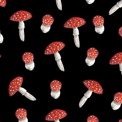 Мухоморы на черном