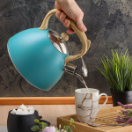 Чайник нерж, 3 л, свист, ручк с силик покр, Daniks, индукц, голуб, MSY-079B