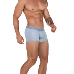 Мужские трусы хипсы серые Clever Moda KRAKEN TRUNKS 153312