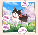 Сухой корм для собак ZILLII (Зилли) Dog Adult Small Breed 2кг индейка и утка сухой для собак мелких пород