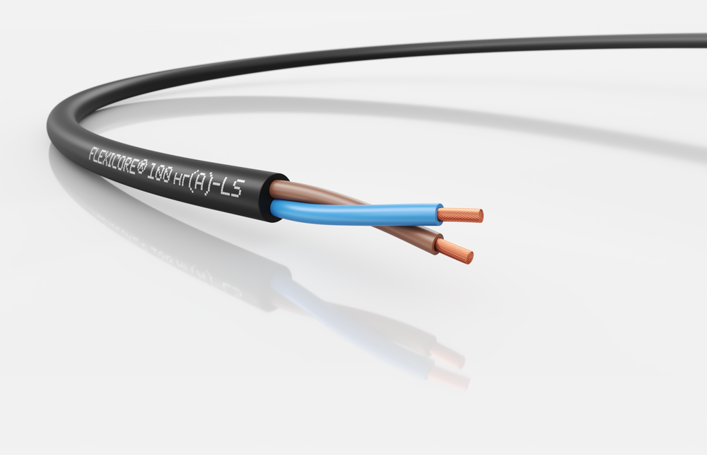 FLEXICORE 100 нг(А)-LS