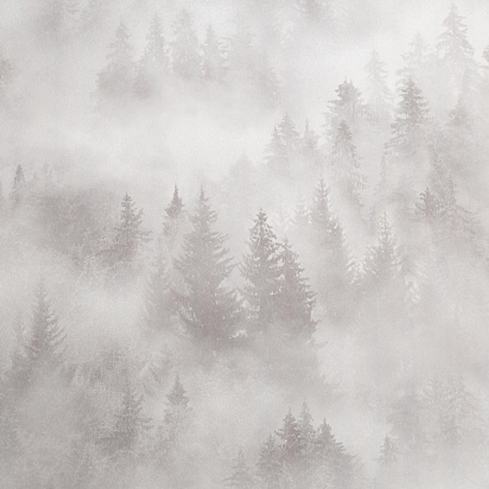 Обои виниловые Home Color My Forest HC71960-21, лес  1,06 х 10,05 м