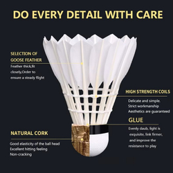 Перьевые воланы Baton Master от производителя Anhui Baton Sports Co