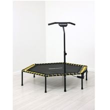 Батут для джампинга с рукояткой и счетчиком Romana 12.10.00 (черный)