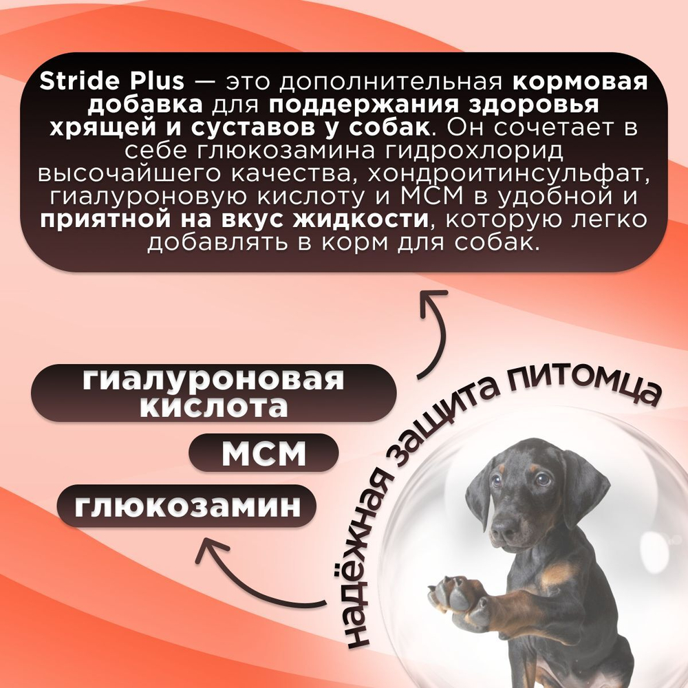 Кормовая добавка для лечения и профилактики заболеваний суставов STRIDE PLUS для собак, 500 мл