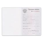 Бланк документа "Трудовая книжка", 88х125 мм, ГОЗНАК