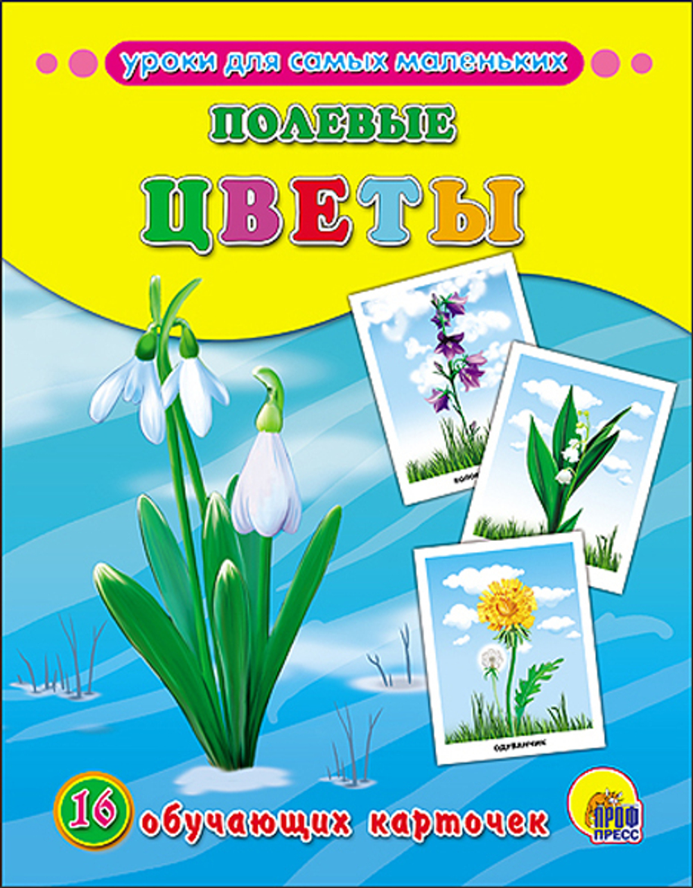 Полевые цветы (Серия: Обучающие карточки), арт.43823