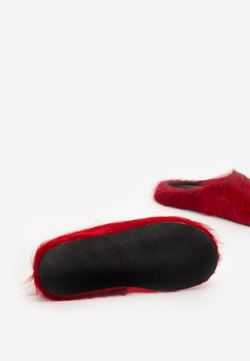 mule red fur