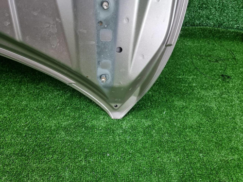 Капот Hongqi H9 (2020-н.в.)