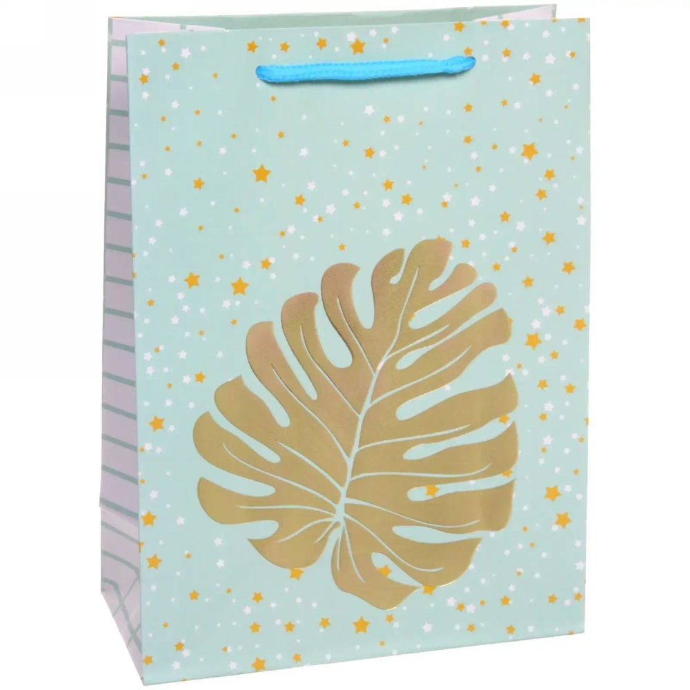 Пакет подарочный «Блеск» 18*24*8,5 см