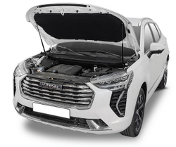 Упоры капота АвтоУпор для Haval Jolion 2021-н.в., 2 шт., UHAJOL011