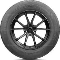 Delinte DH7 SUV 255/70 R17 112H