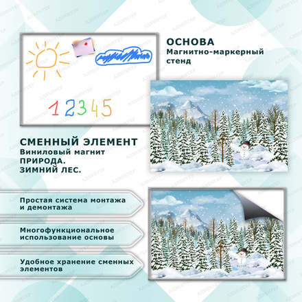 Комплект развивающий ПРИРОДА. ЗИМНИЙ ЛЕС. 2178