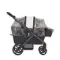 Детская коляска-вагончик Wagon Anex Modu Shea