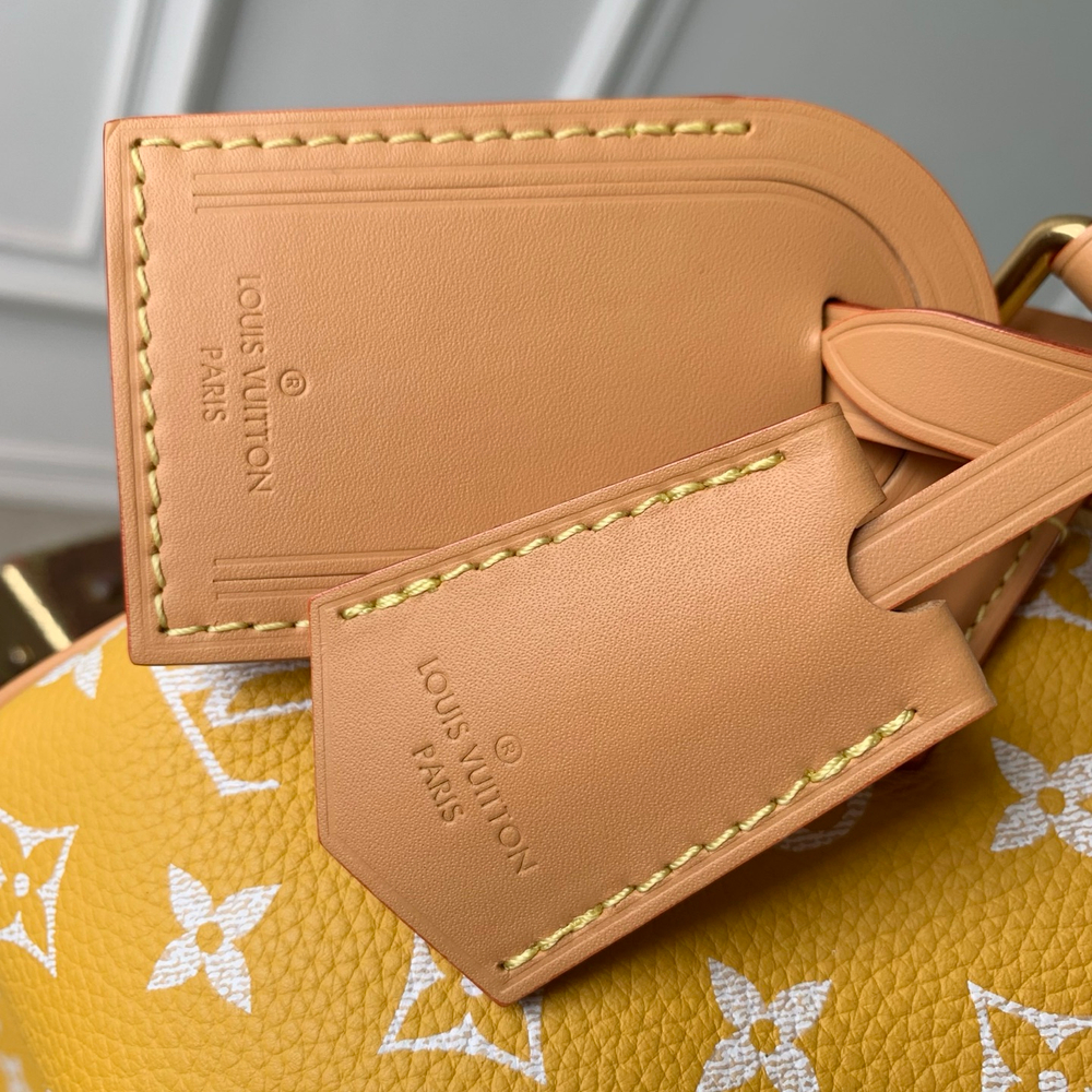 Louis Vuitton Speedy P9 Bandouliere 20