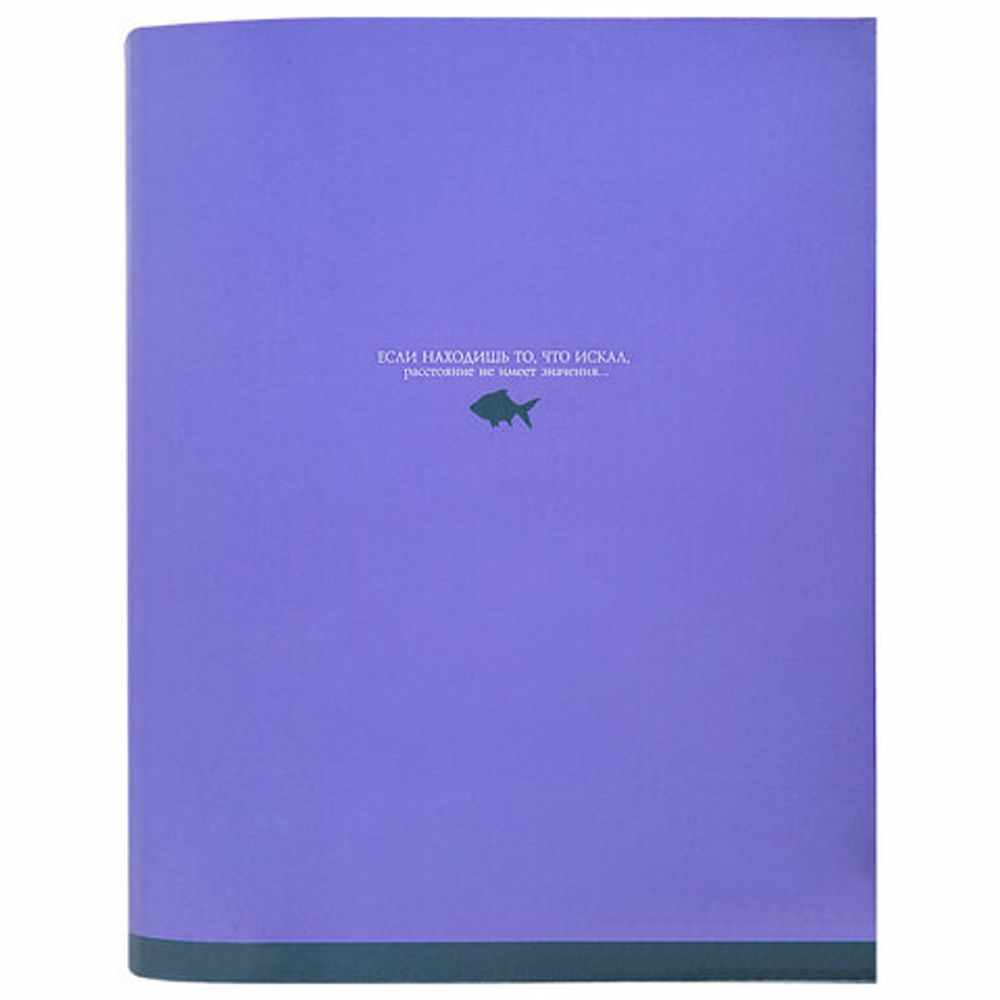 Тетрадь на кольцах А5 175х215 мм, 120 листов, твердый картон, клетка, BRAUBERG, "Monocolor", 404716