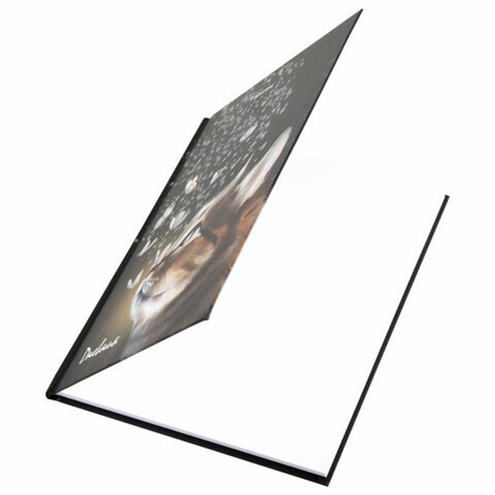 Дневник 1-4 класс 48 л., твердый, BRAUBERG, блестки, с подсказом, "Котик", 106364