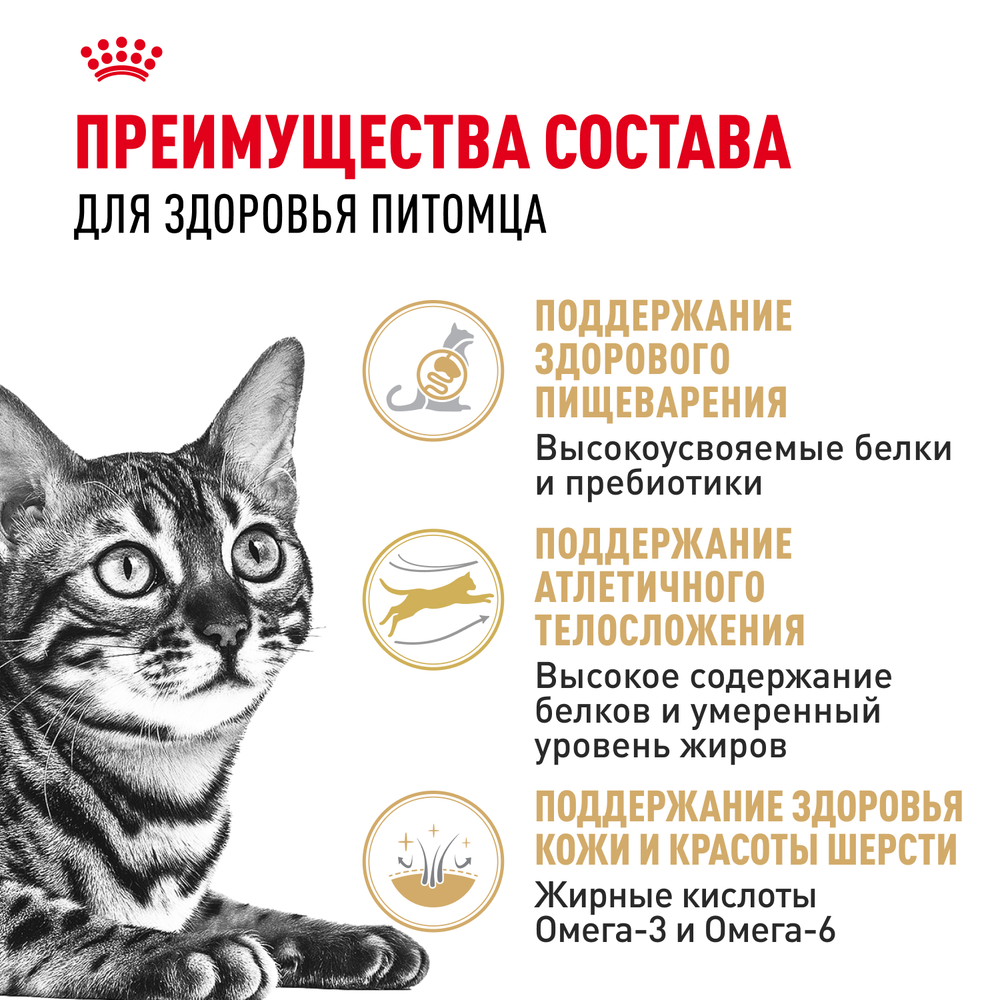Royal Canin Bengal Adult Корм сухой сбалансированный для взрослых бенгальских кошек старше 12 месяцев 2 кг