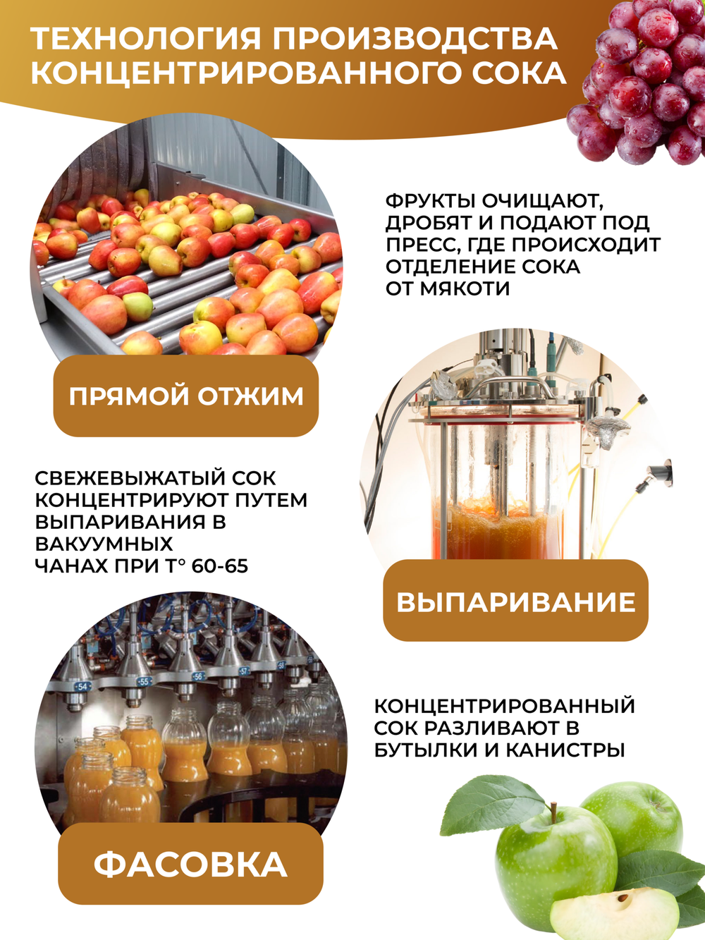 Сок концентрированный грушевый без сахара 5 кг