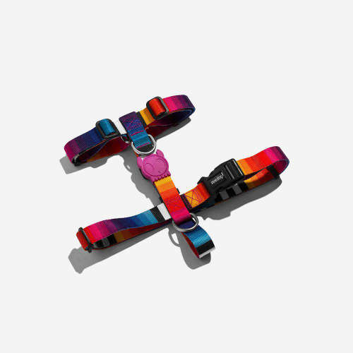 Шлейка PRISMA Zee.Dog