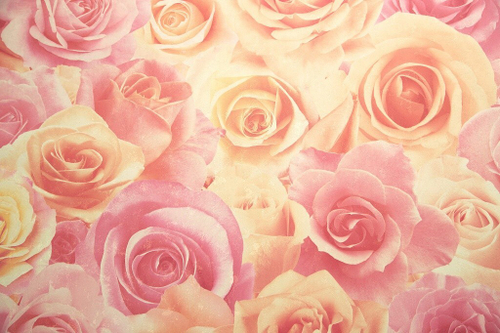 Обои 714-55 Rose Melody Palitra Home