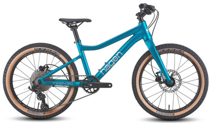 Детский велосипед Hagen Teen 20 R (2025)