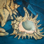 Натюрморт «Память о море»