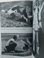 Моя беспокойная жизнь