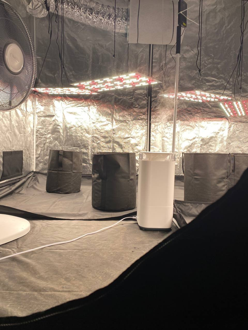 Гроубокс PROBOX Basic 240 под ключ