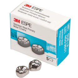 Первый верхний правый моляр, размер 4 (D-UR-4)