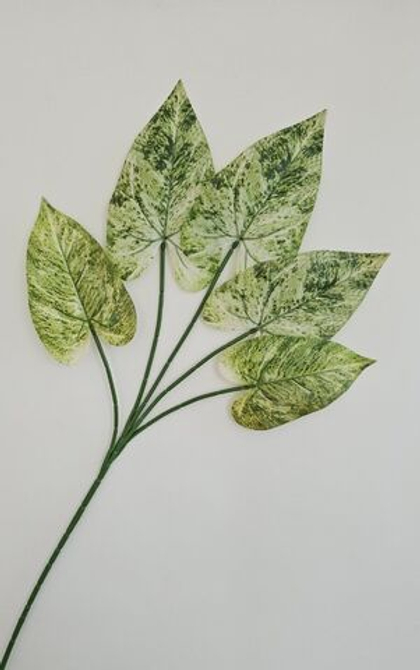 Листья Антуриум / Арт 6349