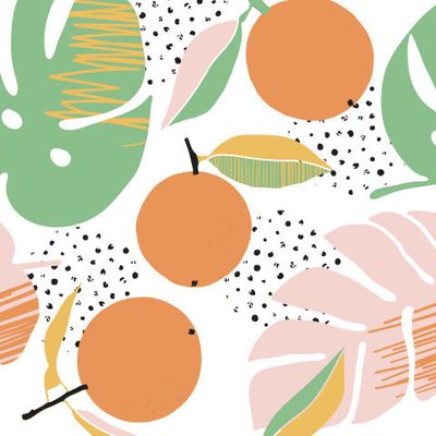 Апельсины тропики листья монстера Oranges tropical leaves monstera