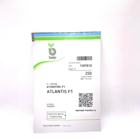 Атлантис F1 семена огурца пчелоопыляемого (Bejo / Бейо) – фото 2