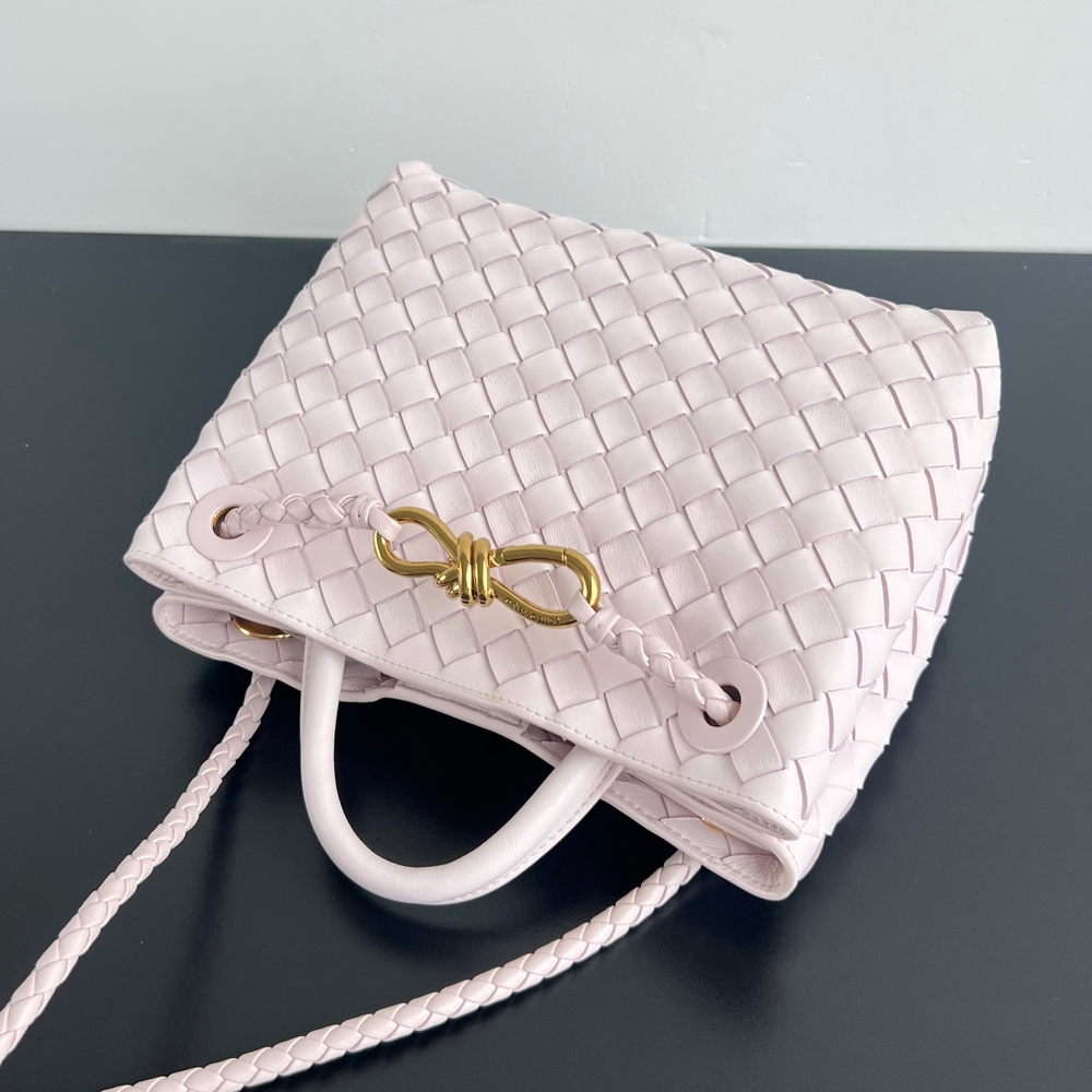 Bottega Veneta Small Andiamo 25 cm