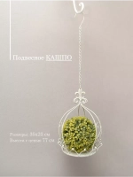 Кашпо для цветов комнатных