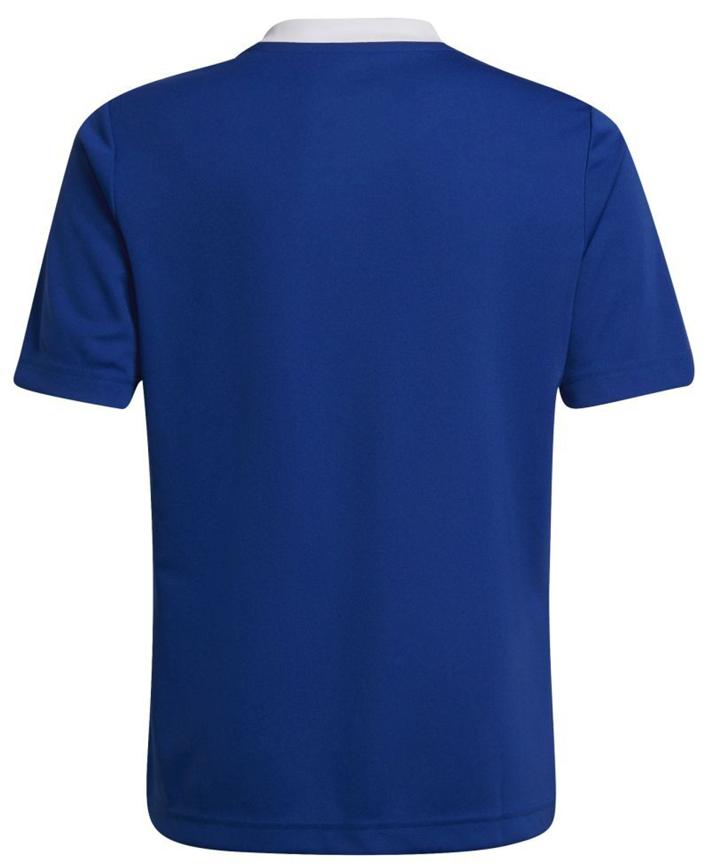 Футболка для мальчика теннисная Adidas Kids Entrada 22 Jersey - небесный
