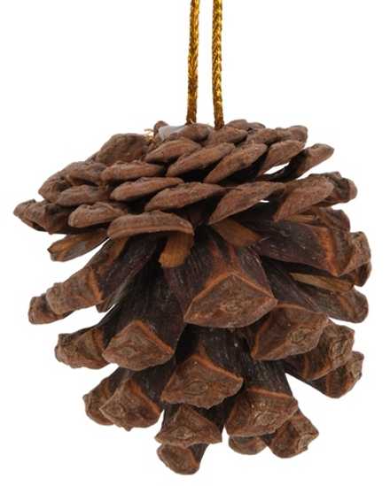 Набор украшений Шишки 6шт 4,5см, натуральные, SYSGA-4922084