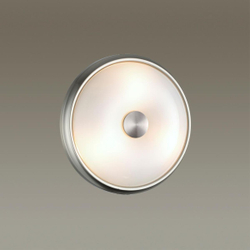 Накладной светильник Odeon Light 4957/2