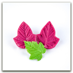 Листья пузыреплодника калинолистного большие