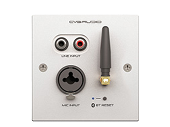 CVGAUDIO PW/EX-IN/W универсальная настенная панель для удаленного подключения балансного микрофона MIC IN